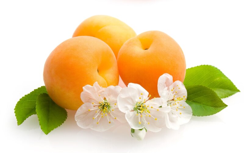 Apricots with Blossoms — Orange, Fresh, Spring, Photograph, Flowers
