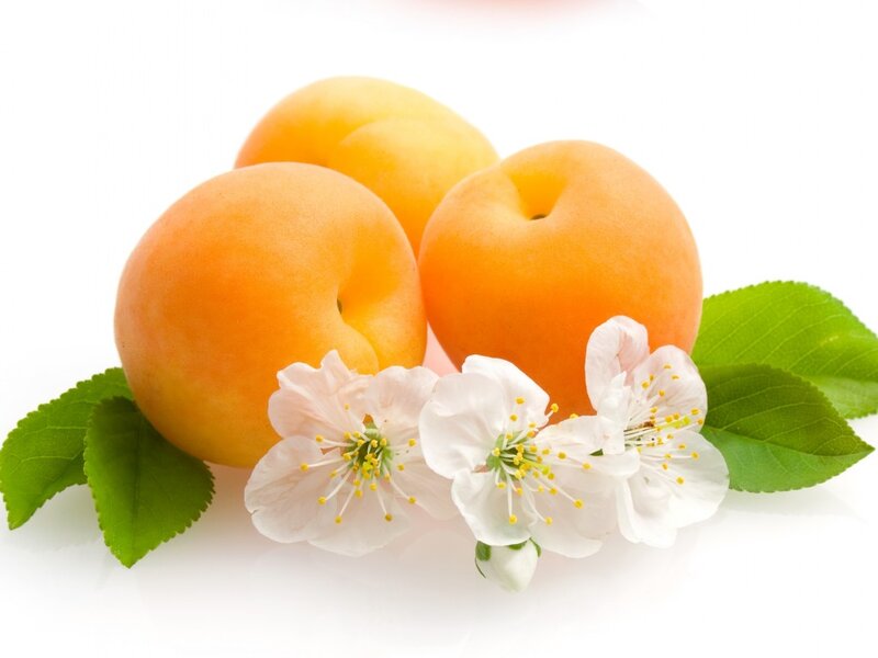 Apricots with Blossoms — Orange, Fresh, Spring