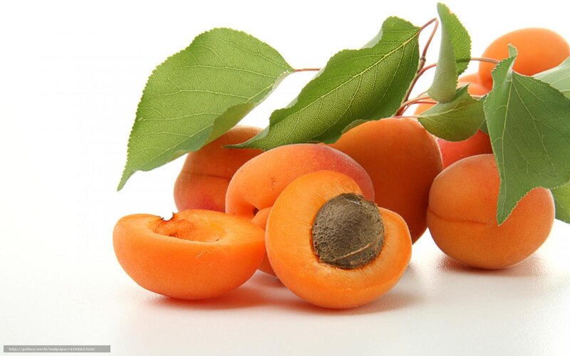 Apricots with Leaves — Orange, Fresh, Photograph