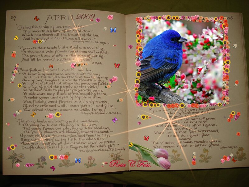 April 2009 journal pages