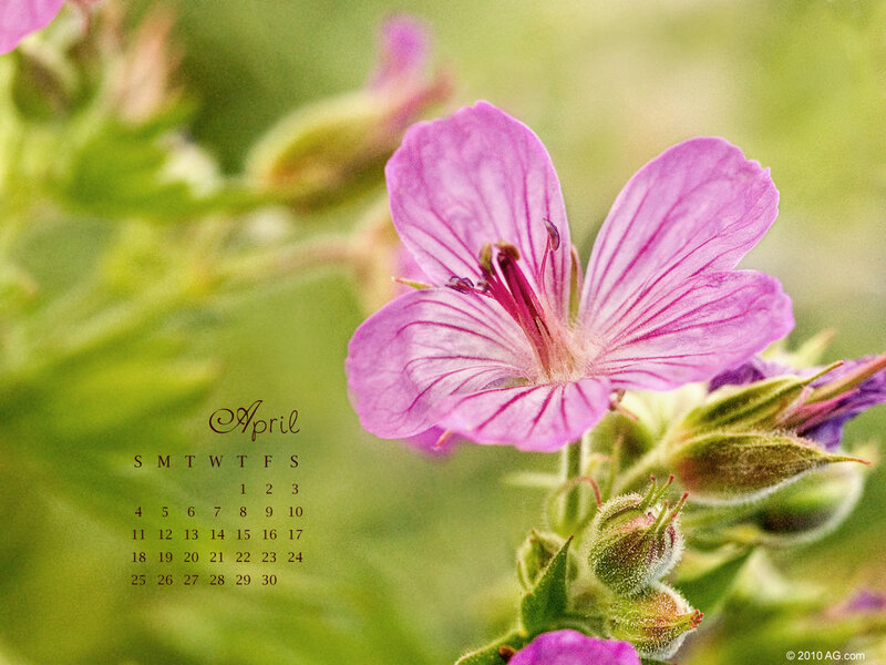 April calendar with purple flower