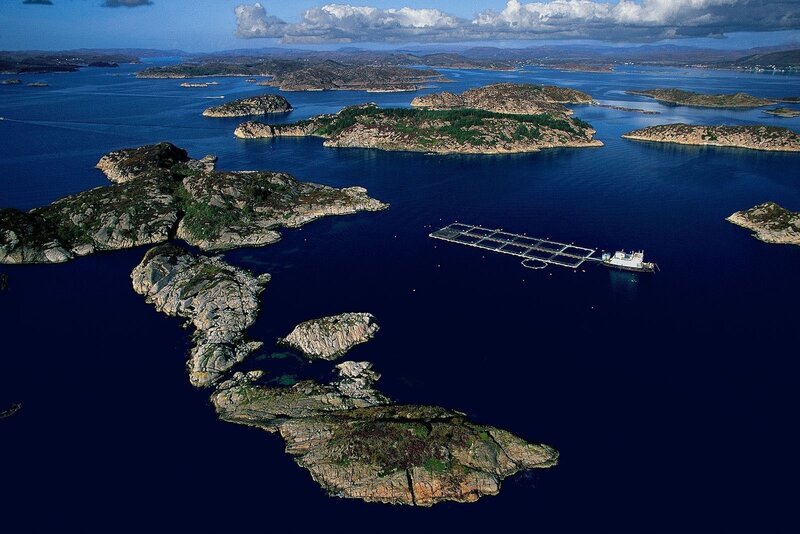 Aquaculture Farm in Fjord