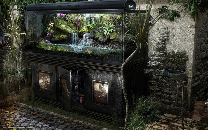 Aquarium in Garden — Green