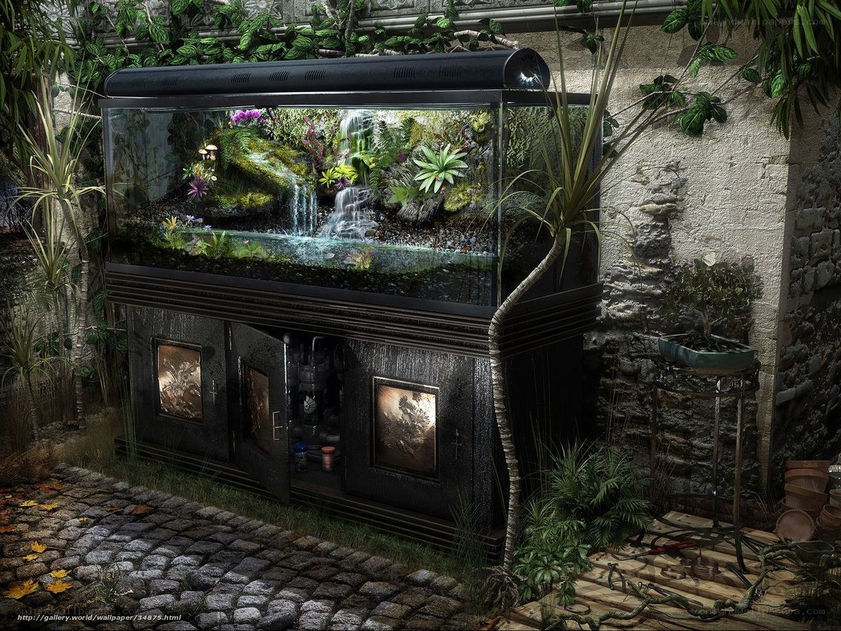 aquarium in garden setting