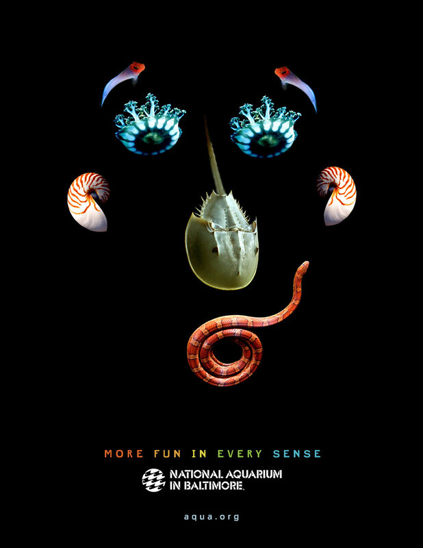 aquarium poster with sea life