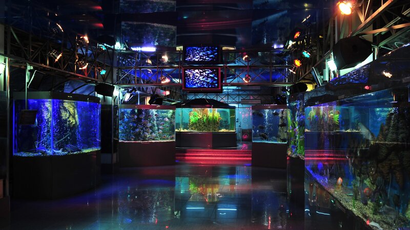 Aquarium Tanks in Dark Room