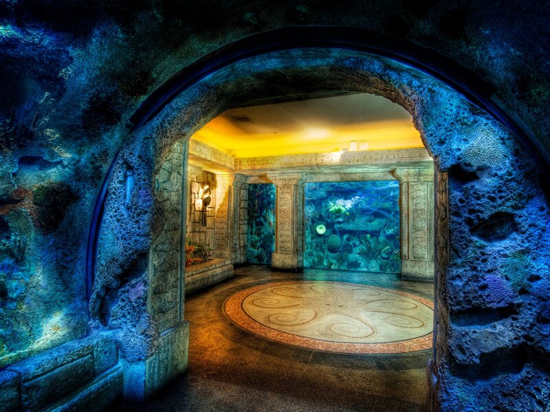 Aquarium Tunnel Entrance