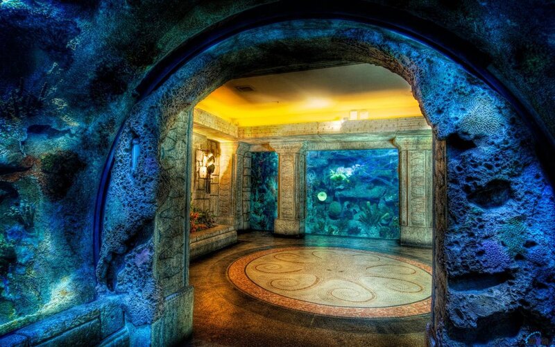 Aquarium Tunnel Interior