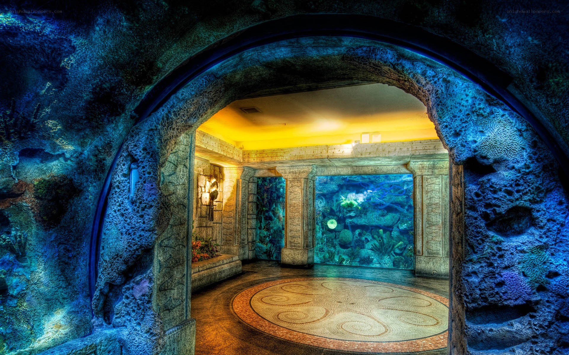 Aquarium tunnel view