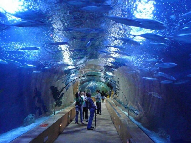Aquarium tunnel with fish