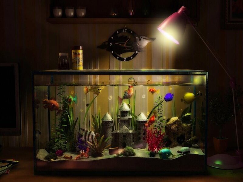 Aquarium with Fish and Castle — Green