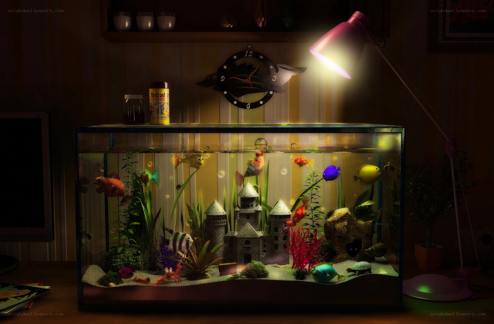 Aquarium with fish and castle