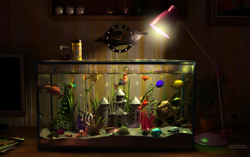 Aquarium with Fish — Green, Calm, Night
