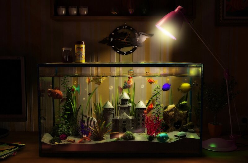 Aquarium with Fish — Green, Dramatic