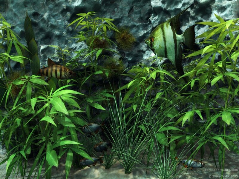 Aquarium with tropical fish