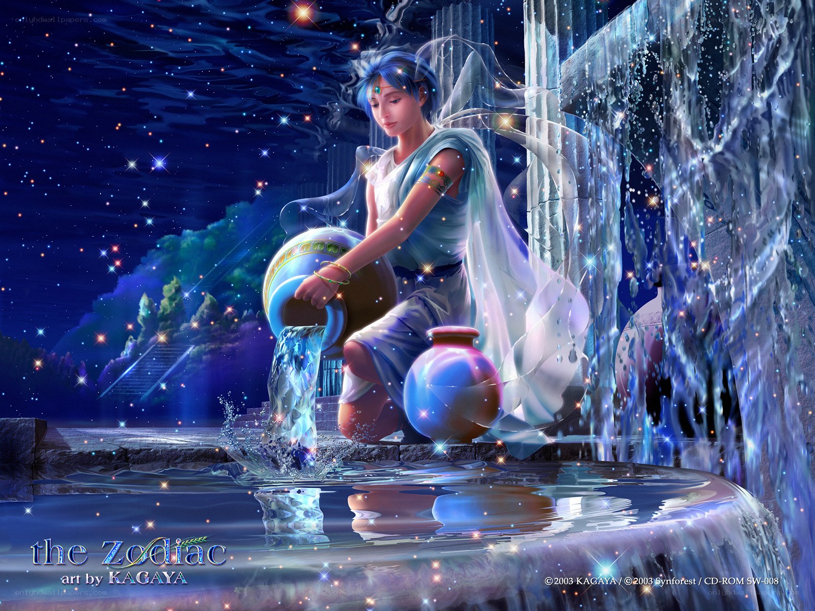 Aquarius zodiac art