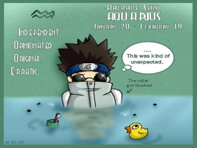 Aquarius zodiac meme