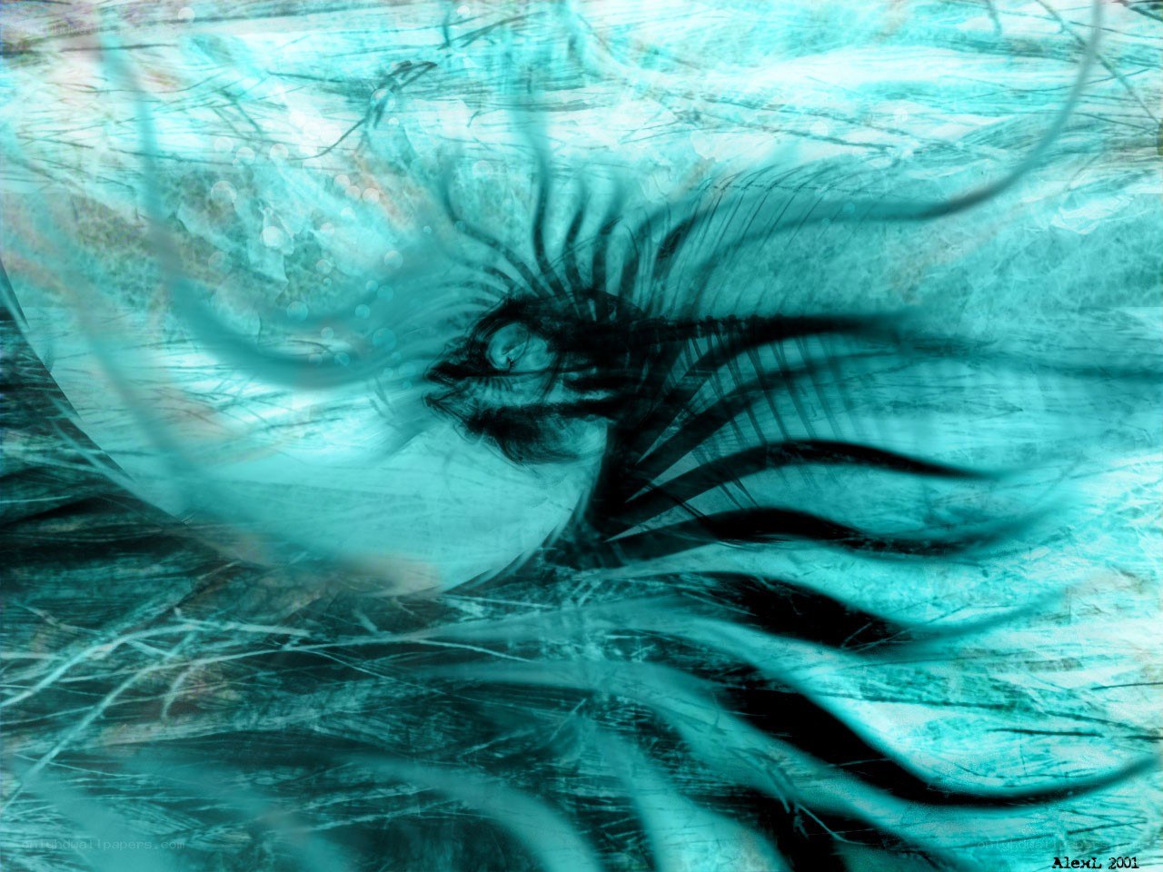 aquatic creature in turquoise water