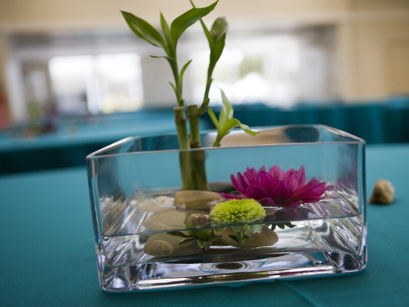Aquatic Plant Arrangement
