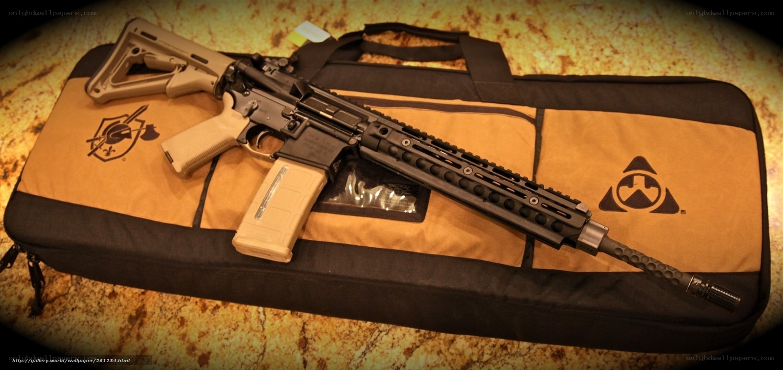 AR-15 rifle on a case
