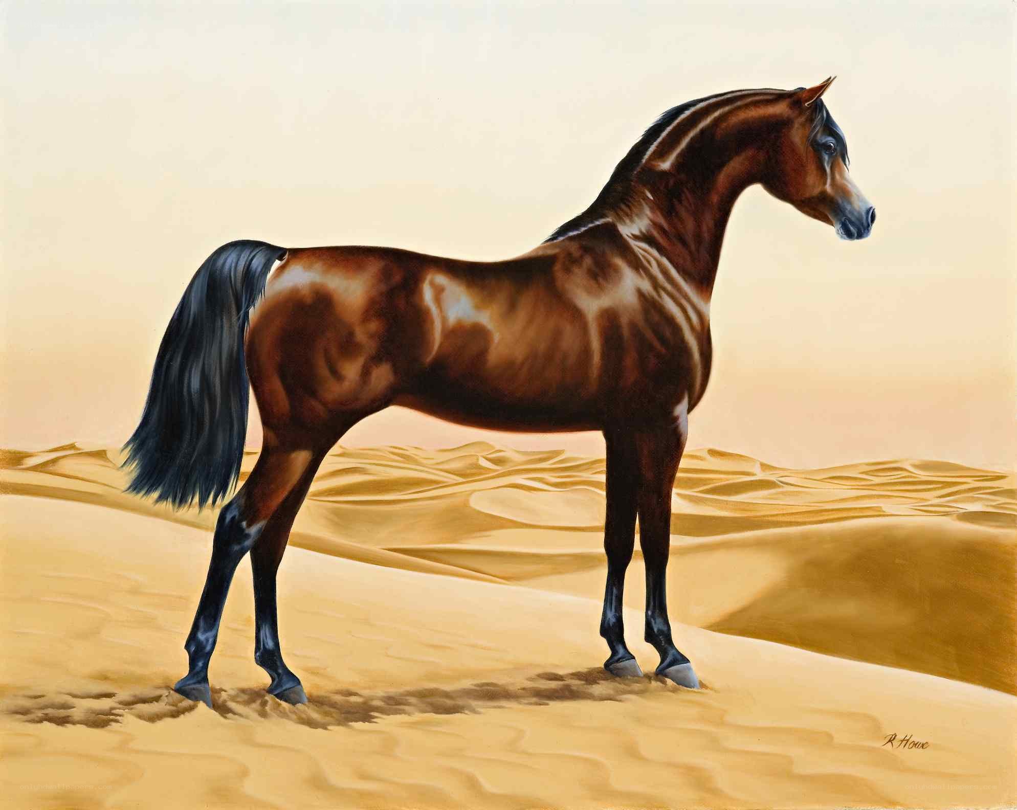 Arabian horse in desert
