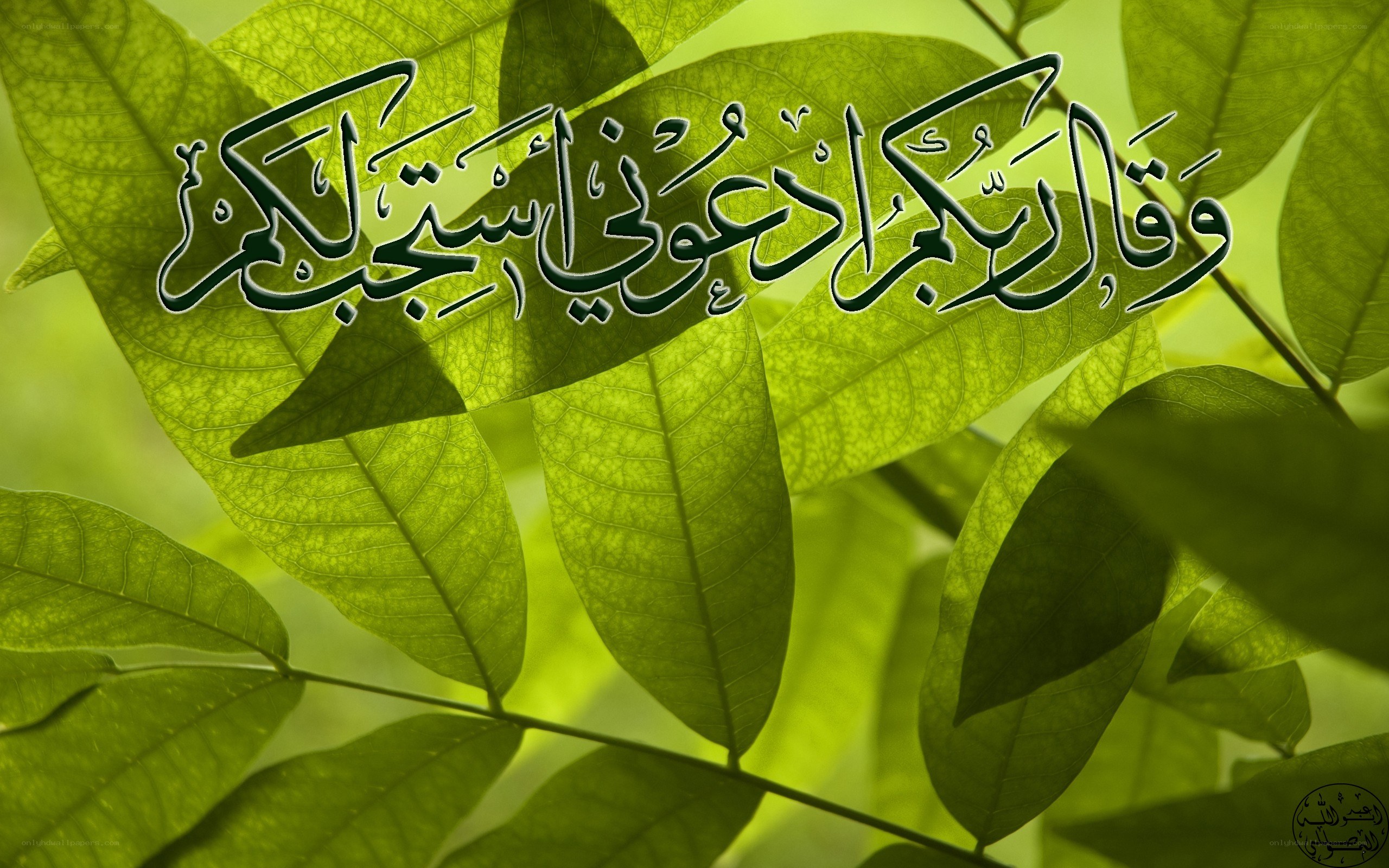 Arabic calligraphy on green leaves