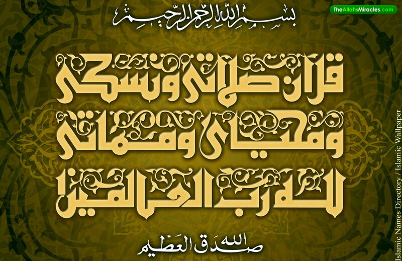 Arabic Calligraphy Text — Gold