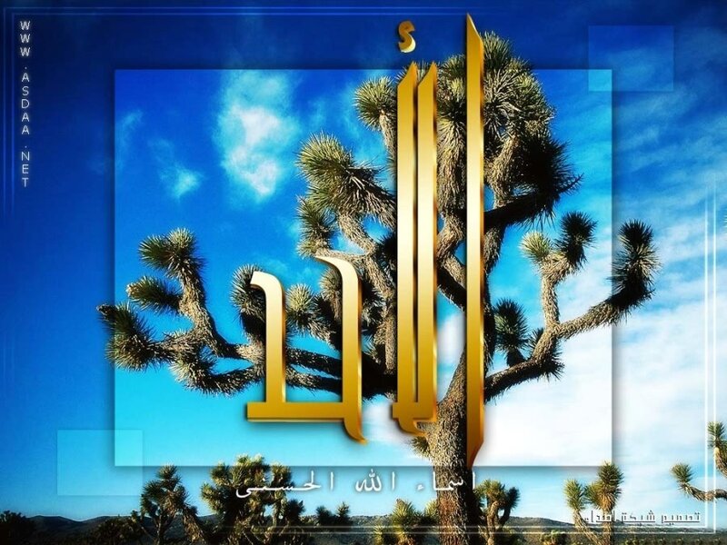 Arabic calligraphy with Joshua tree