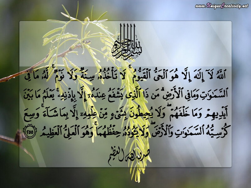 Arabic Text on a Leafy Branch
