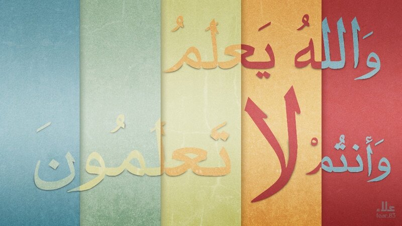 Arabic Text on Colored Panels