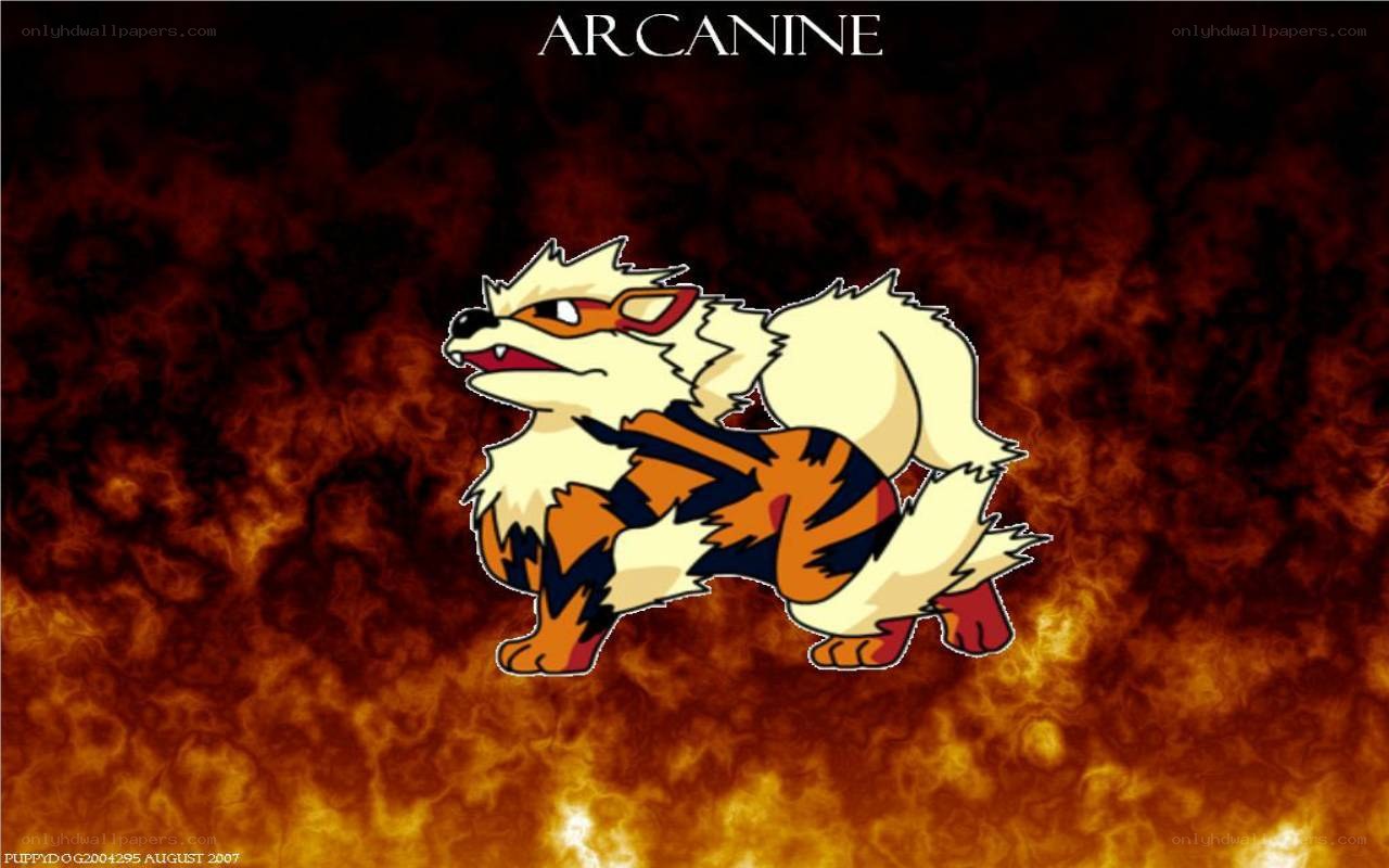 Arcanine from Pokémon