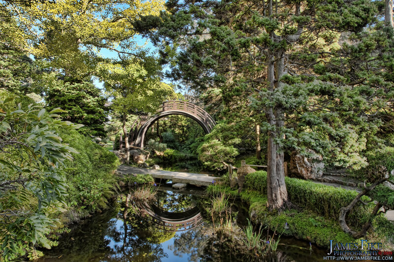 Arch Bridge in Garden