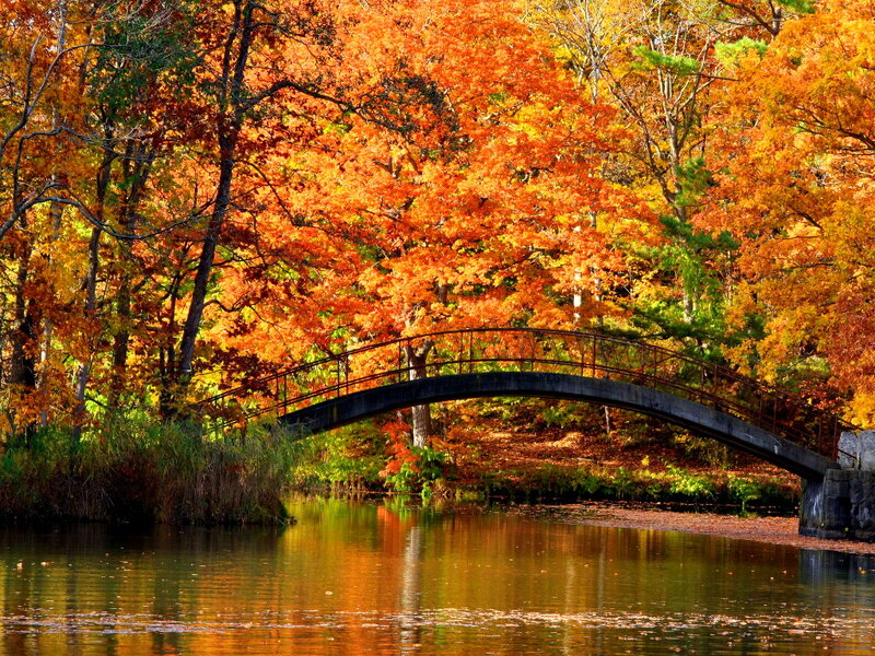 Arch Bridge over Pond