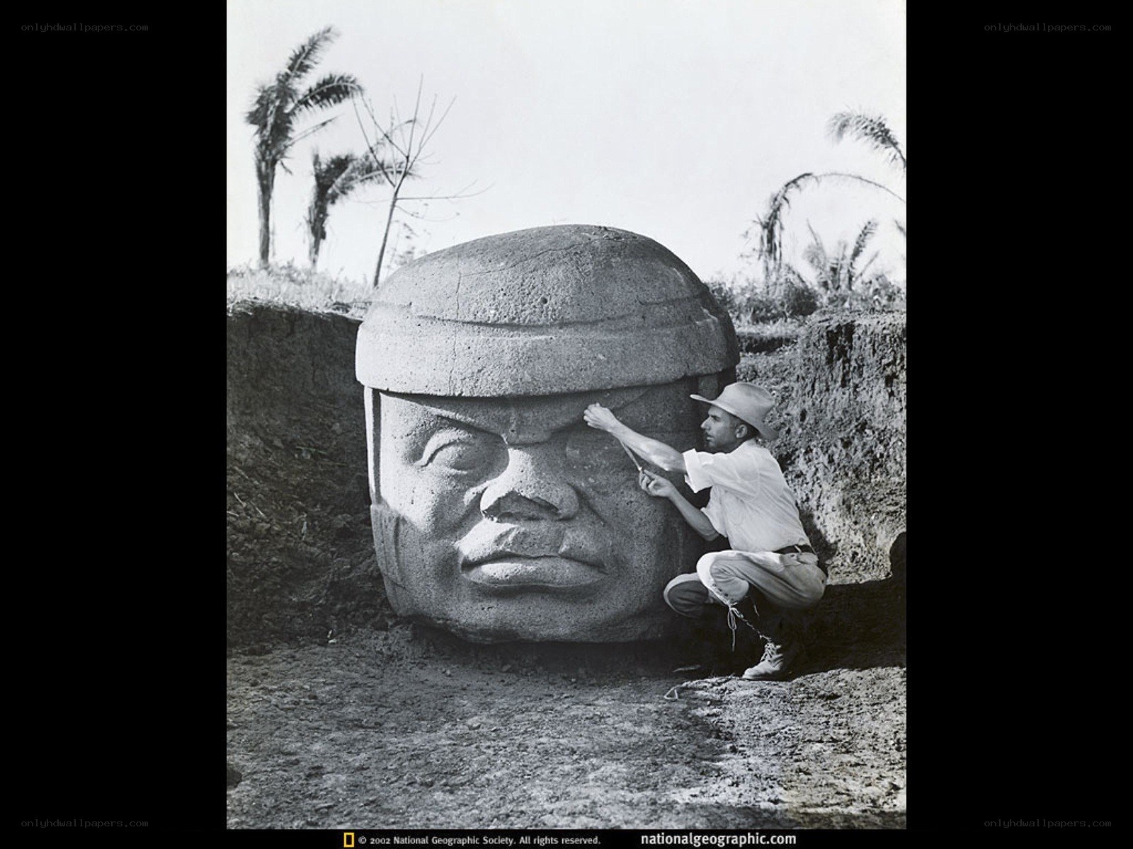 Archaeologist at Olmec head