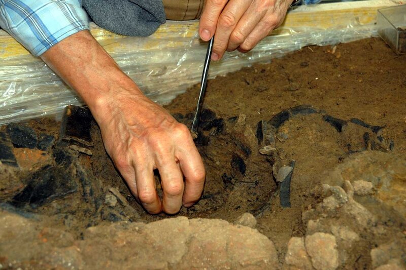 Archaeologist Excavating Artifacts