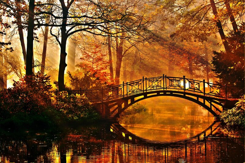 Arched Bridge in Autumn