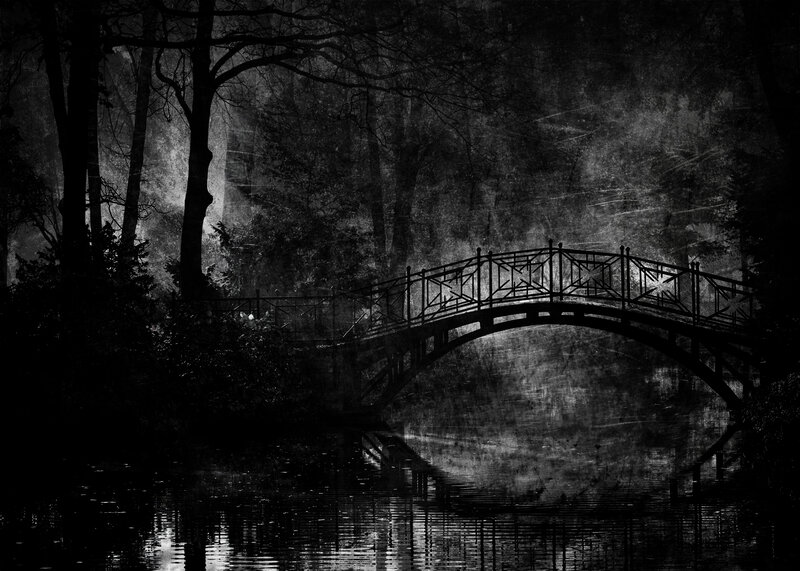 Arched Bridge in Forest — Black