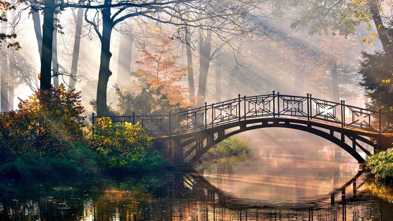 Arched Bridge in Forest — Green, Serene, Morning, Photograph, River