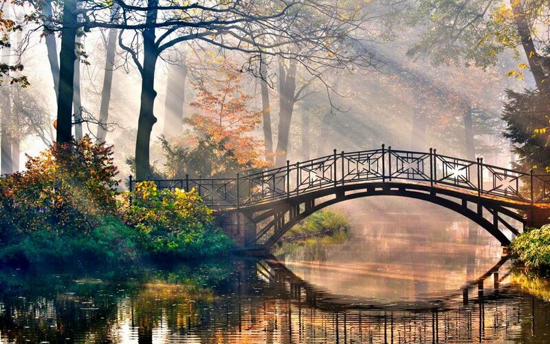 Arched Bridge in Forest — Green, Serene, Morning