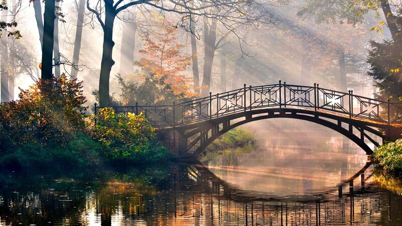 Arched Bridge in Forest — Green, Serene