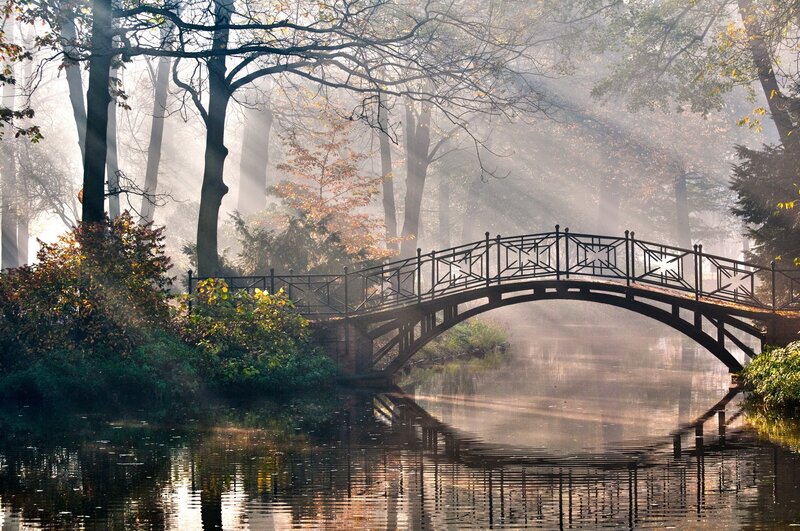 Arched Bridge in Forest — Serene