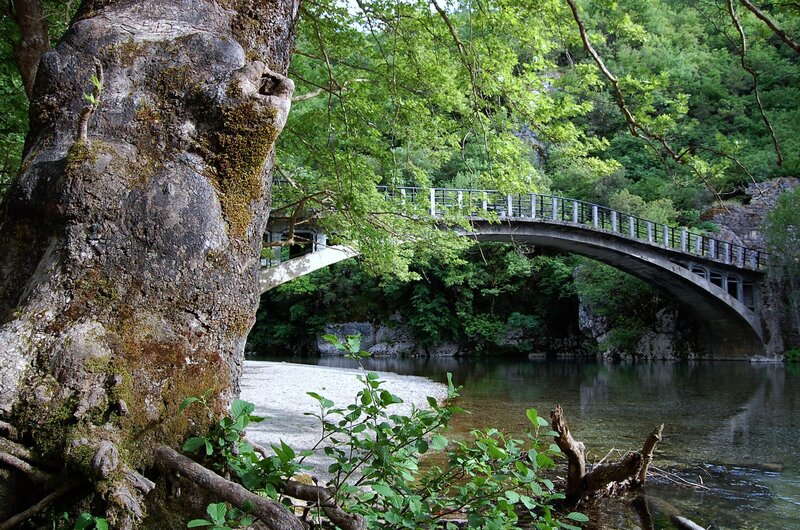 Arched Bridge over River — Green, Serene, Afternoon