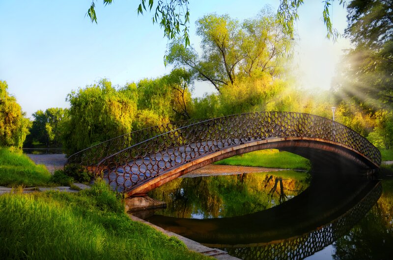 Arched Bridge over River — Green, Serene, Morning