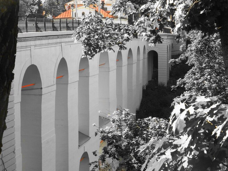 Arched bridge with trees