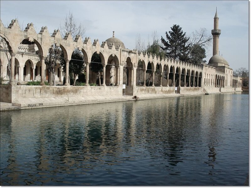 Arched Building with Pool