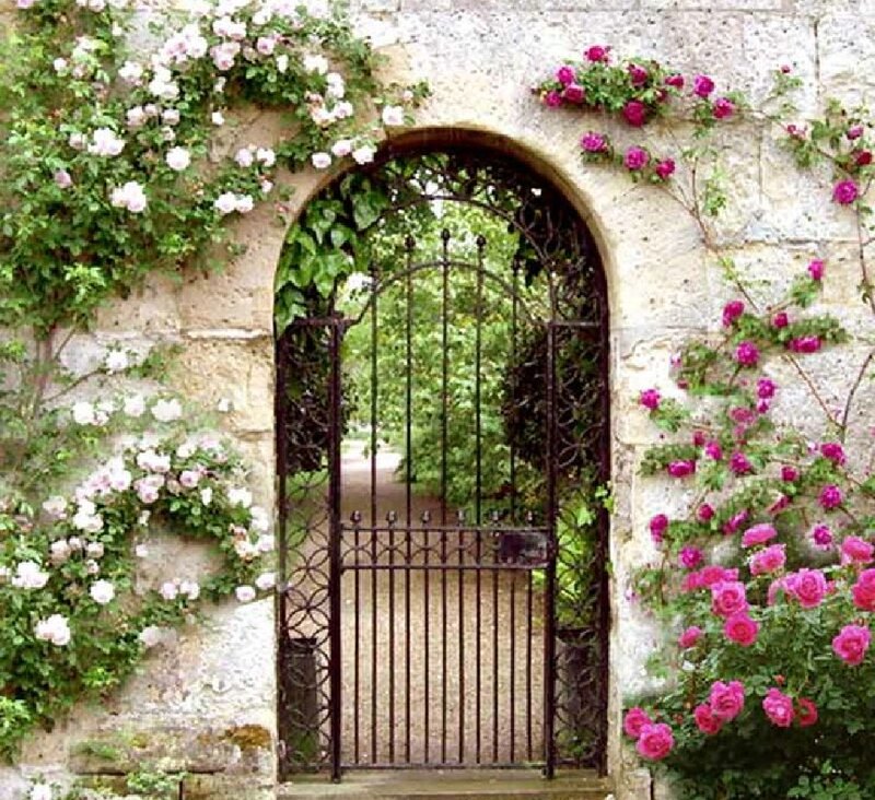 Arched Gate with Roses
