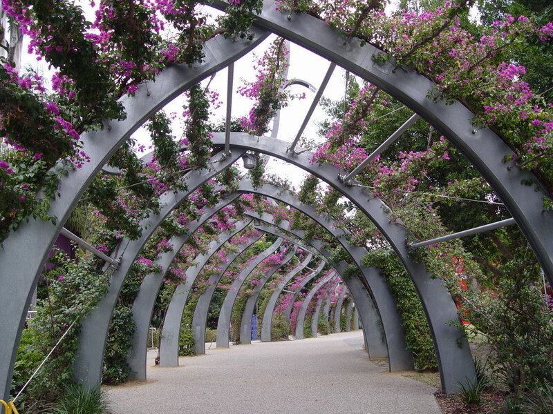 Arched Trellis with Flowers