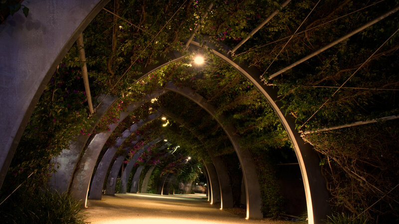 Arched Vine-covered Tunnel
