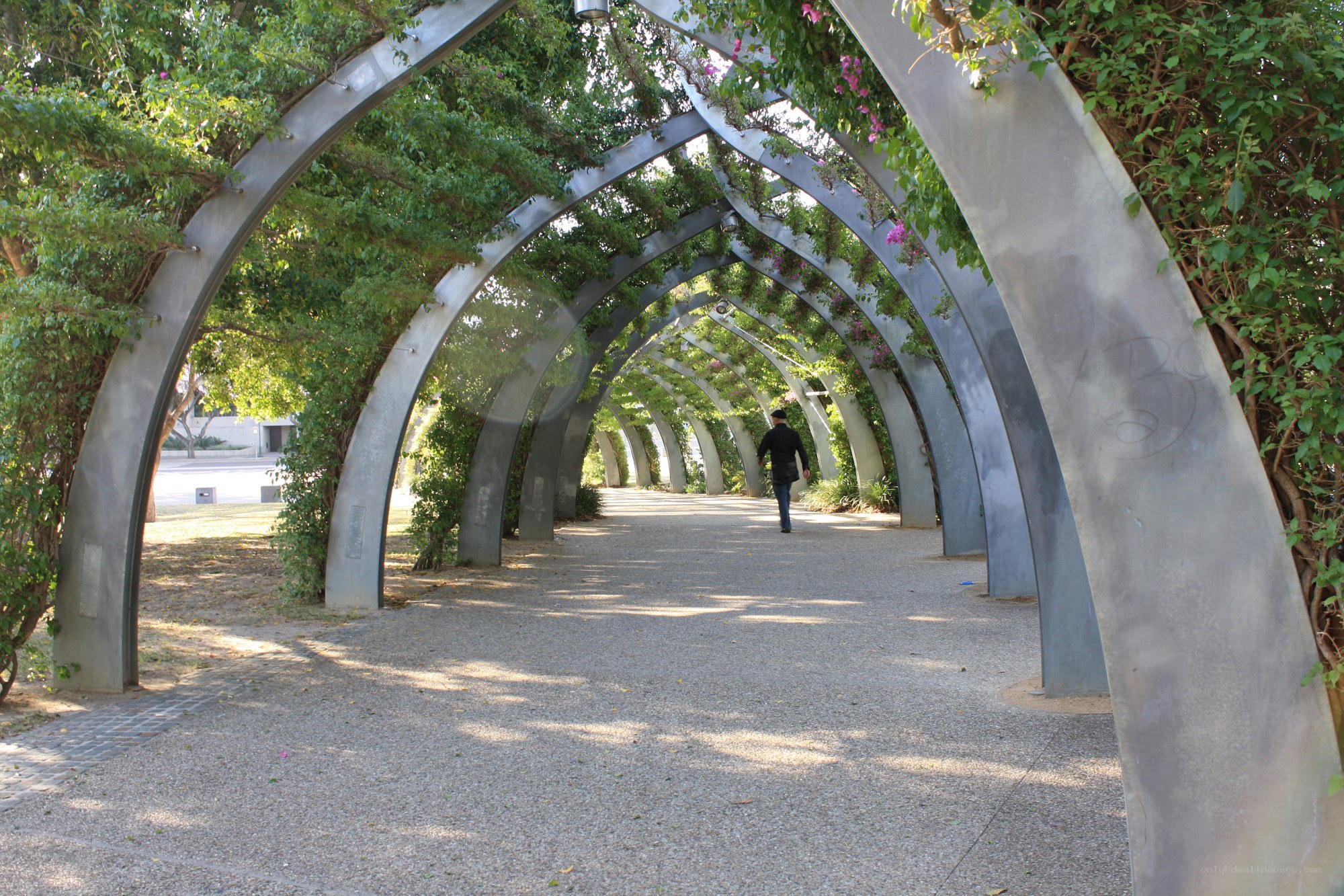Arched walkway with greenery