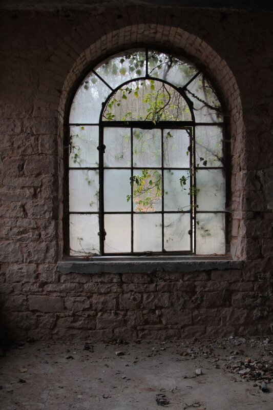 Arched Window in Ruin